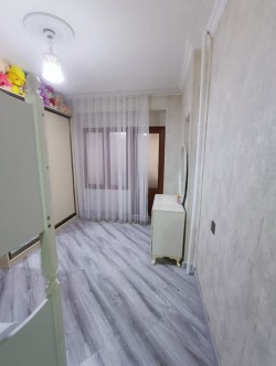 image 318054