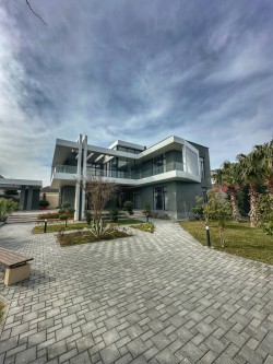 image 320048