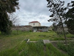 image 326948
