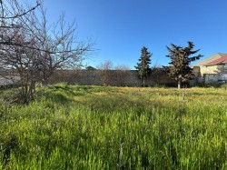 image 327734