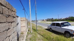 image 329256
