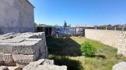 image 329256