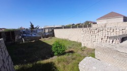 image 329256