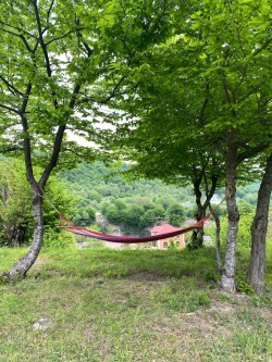 image 329431
