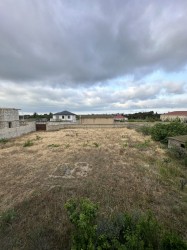 image 330295