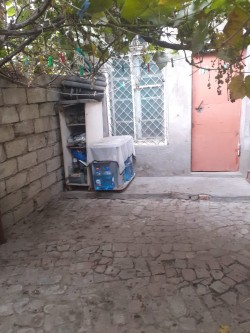 image 330791