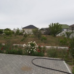image 332525