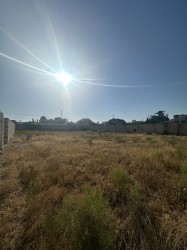 image 335614