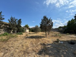 image 336315