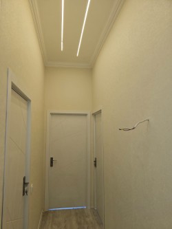 image 337569