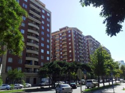 image 338575