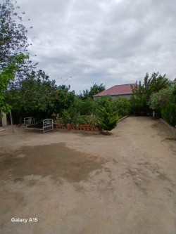 image 341196