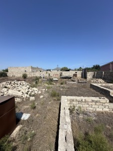 image 344702