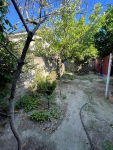 image 349731
