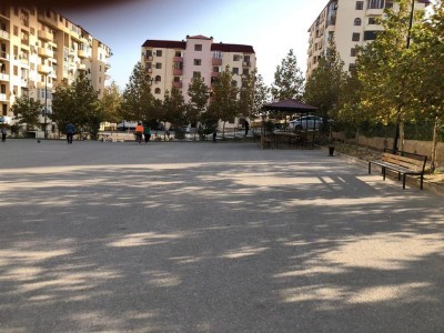 image 350515