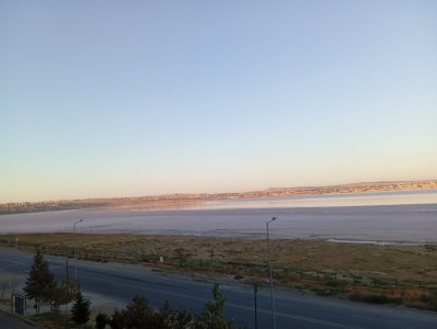 image 350515