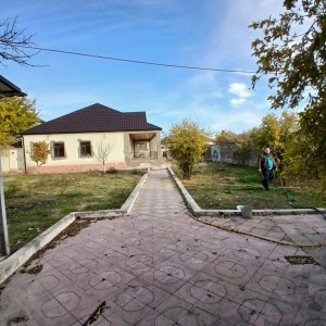 image 357475