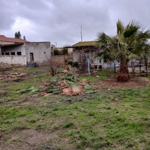 image 357732