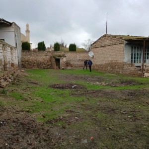 image 357739