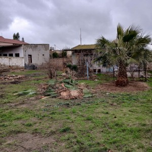image 357824