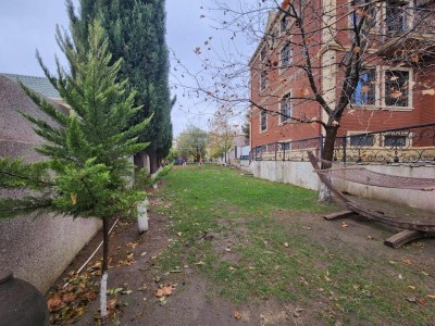 image 360282