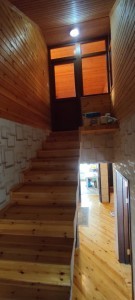 image 360338