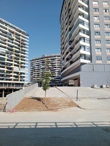 image 363247