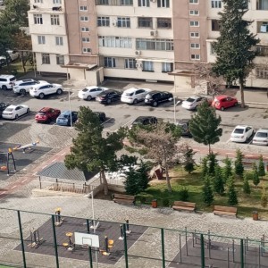image 364555