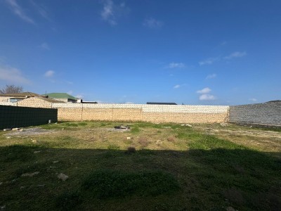 image 365124