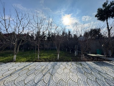 image 365129