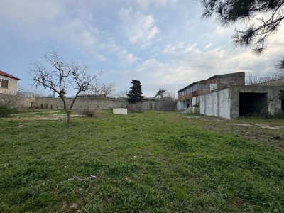 image 365702