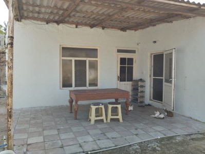 image 365716