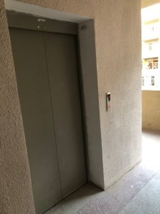 image 365750