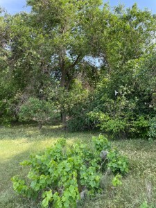 image 365802