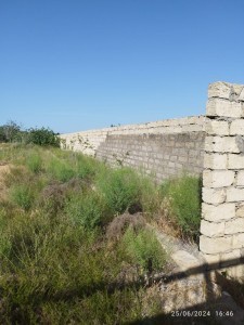 image 366157