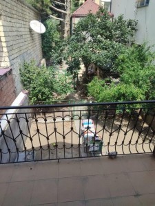 image 366285