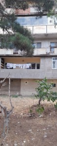 image 366459