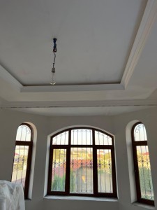 image 366876