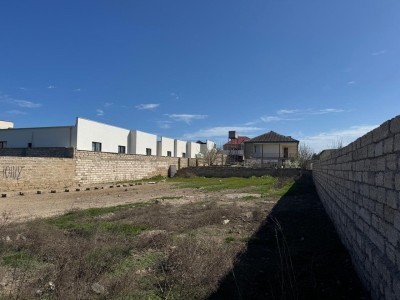 image 367165
