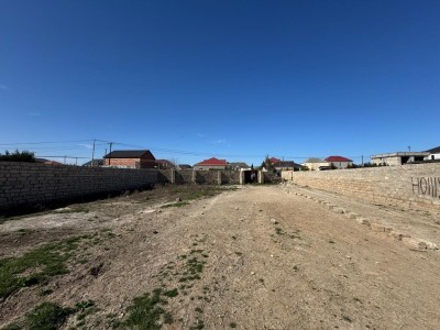 image 367165