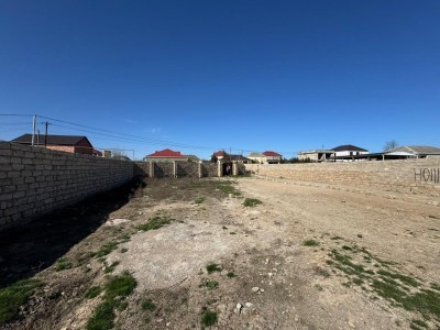image 367165