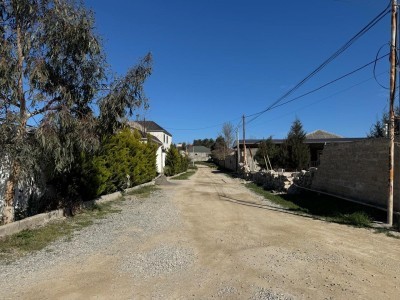image 367165
