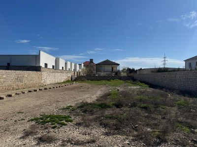 image 367165