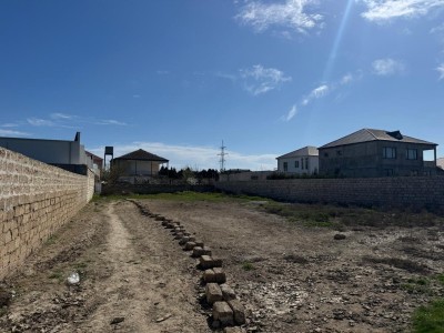 image 367165