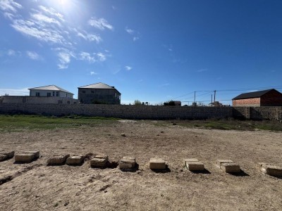 image 367165