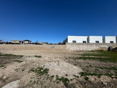 image 367165