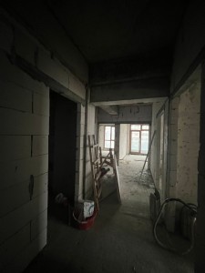 image 367185