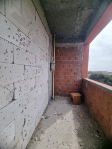 image 367231