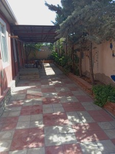 image 367264