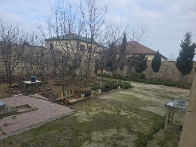 image 367269
